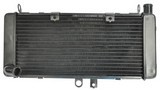 Aluminium Radiator Honda Cb900 Cb919F Hornet900 2002-2007